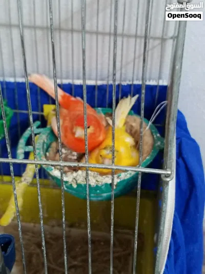 undefined 3