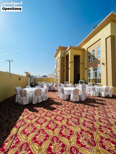 Banquet chairs for rental purposes/كراسي الولائم للإيجار 3