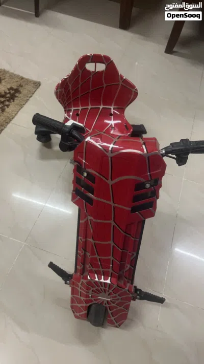 Three wheeler electric bike 3