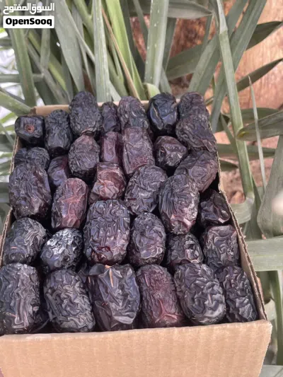 عجوة المدينة فاخرة بسعر خاص 2