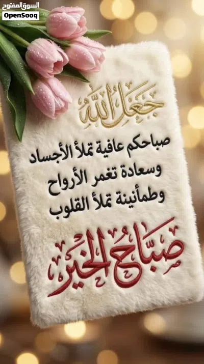 شقه تتكون من غرفتين وصاله وحمام ومطبخ وصاله وبالكونه .. 2