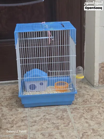 همستر روسي مع اغراضه للبيع hamster for sell 2