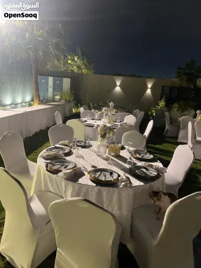 تأجير كراسي طاولات 3