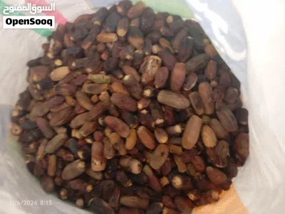 نفيعه نغال هالسنه جواني كبار 2