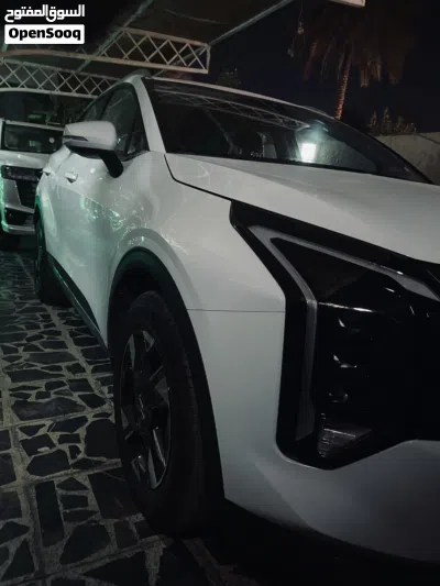 کیا Sportage Standard 2