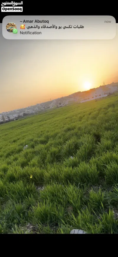 ارض من المالك جنوب دوار السفير للبيع الماصية الشمالية مقابل مدارس القمة تبعد عن طريق عمان 1 كيلو 3