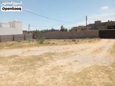 خله الفرجان 2