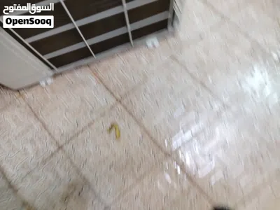توجد سبالت طن ونص جبسون والثاني كارير شرط الضمان كما موضح بالصور 2