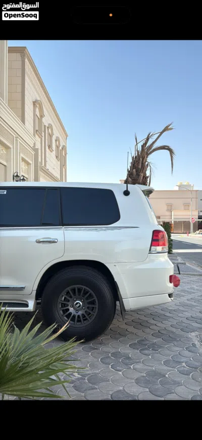 للبيع برايد و بوالين 3