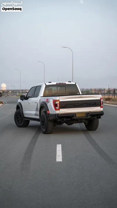 Ford F-150 Raptor 4
