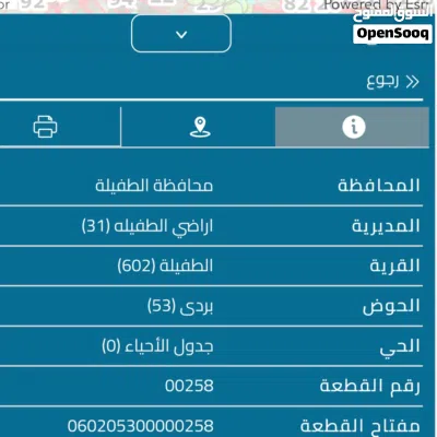 للبيع أرض مشاع 7.7 دونم في الطفيلة حوض بردى - موقع مميز على شارعين 2