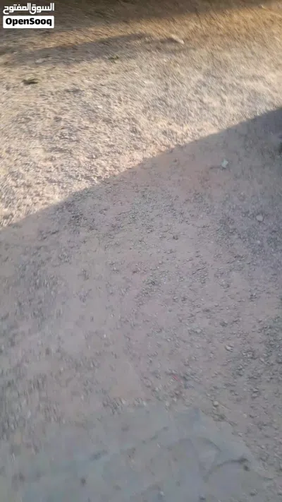 غرفة وحمام وممر 3