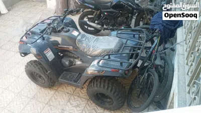 Kawasaki Brute Force 300 2