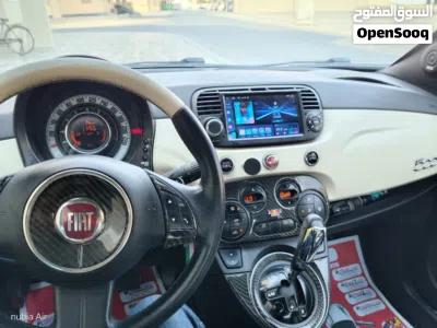 Fiat 500 Standard 4