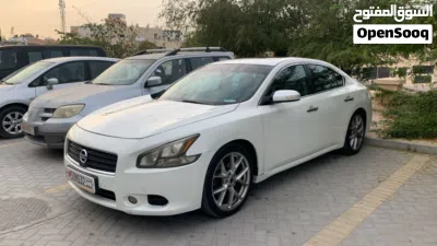 Nissan Maxima SR1 3
