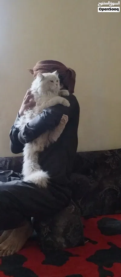 اقط هملايا باسعر 6500 الف اقرأ الوصف الذي يوجد في الصورة رقم 2 4