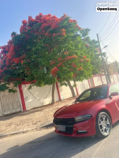 Dodge Charger R/T 2