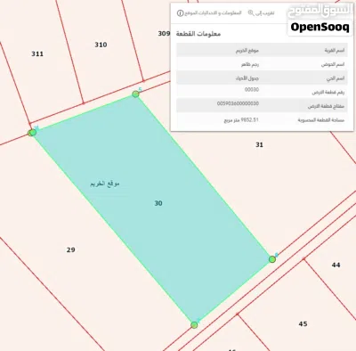 امتلك 10 دونم مستقلة بسعر لُقطة في منطقة الخريم اراضي جنوب عمان فقط ب 4500 دينار 2
