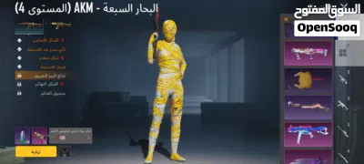 حساب ببجي للبيع بي 450كاش الموقع مصرته 4