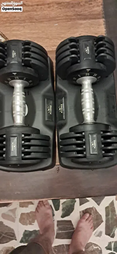 dumbbells2x brand flybird 2