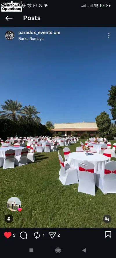 Banquet chairs for rental purposes/كراسي الولائم للإيجار 4