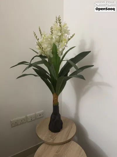 Decor and household essentials 2