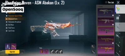 Pubg Acount with Max guns 4