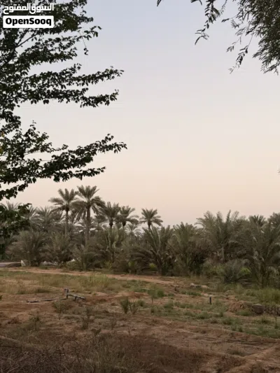 مزرعه للبيع مع منازل 4