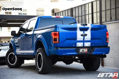 Ford F-150 Shelby 4