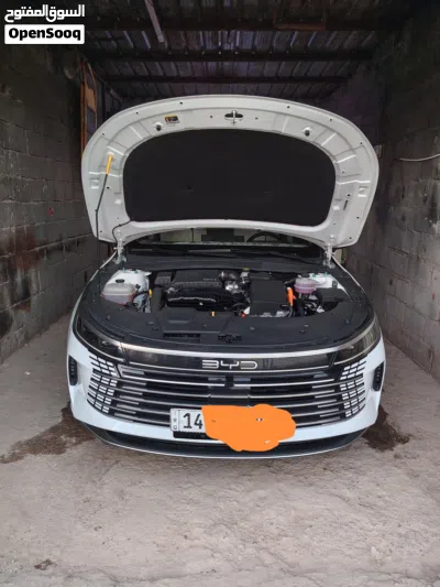 BYD Destroyer 05 2