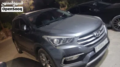 Hyundai Santa Fe Standard 3