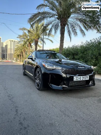 کیا Stinger GT2 3
