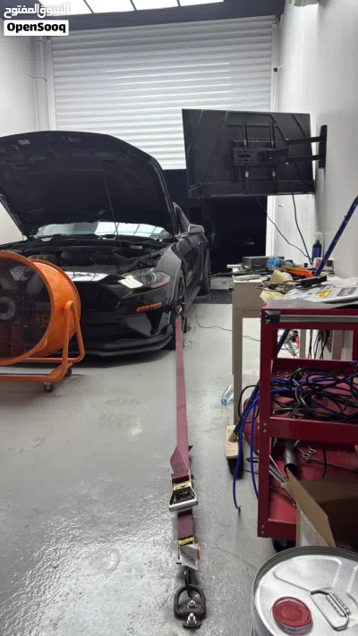 Ford Mustang GT 3