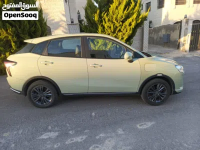Neta V Standard 4