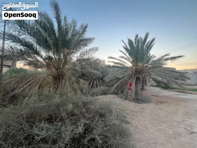 بيت مساحته دونم 2500متر 4
