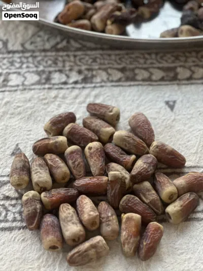 البيع تمر نغال النسنه انتاج الظاهرة. 2