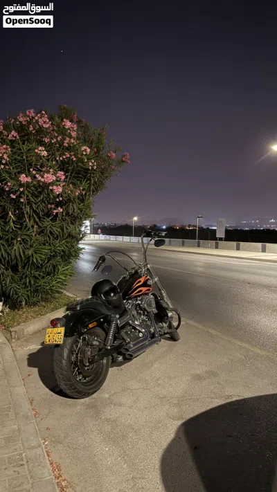 Harley Davidson Other 4