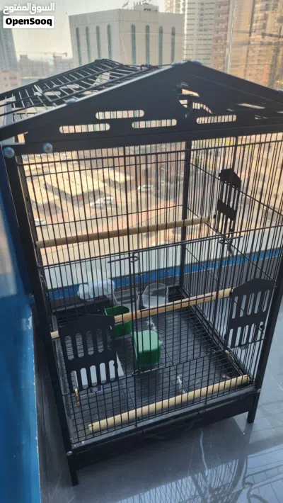 قفص للطيور مع اكسسوارته Cage for birds and some accessories 3