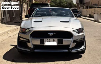 Ford Mustang EcoBoost 2