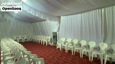 استئجار كراسي عادية 2