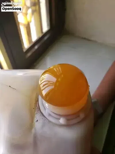عسل مراعي وعسل السدر وعسل السمر صافي إنتاج محلي للبيع بالجمله الجالون 5كيلو 4