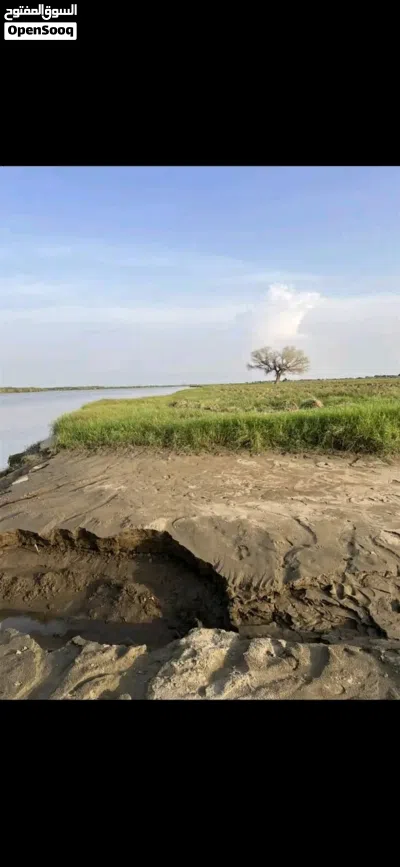 مشروع ثمار الزراعي 3