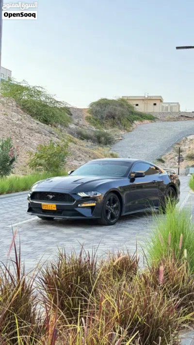 Ford Mustang Standard 4
