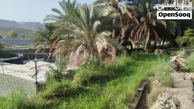 مزرعه للبيع 3
