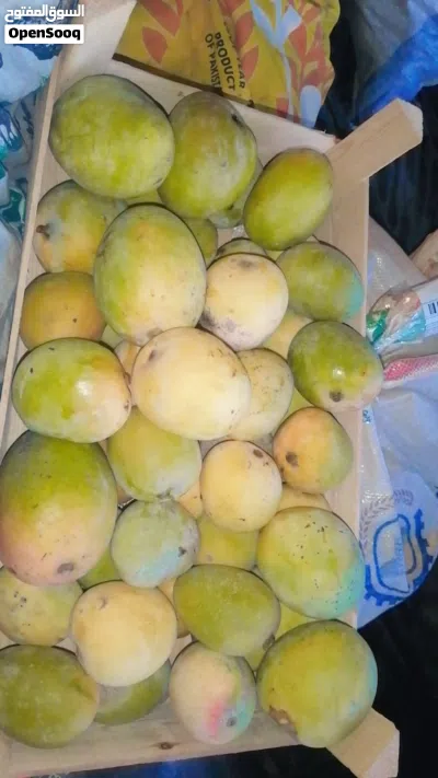 ليمون و حدال وهمبا ناضج اصفر للبيع 2