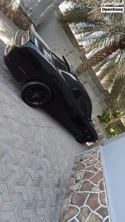Dodge Challenger R/T 3