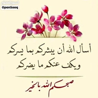 نيسان ليف SL 4