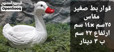 قواوير زرع باشكال البط 2