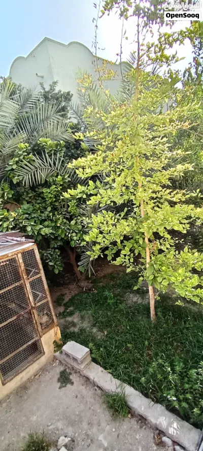منزل للبيع 4