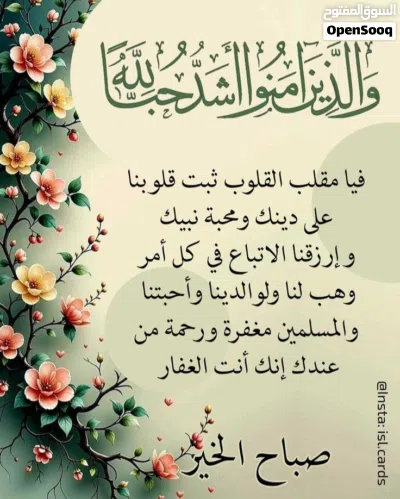شقه ف ارض ازواوه خلف مسجد على الريسى 2
